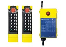 Radio Remote Control Kit, Saga K3 Series, 12-Button, 1-Speed, 2 TX, 220 VAC